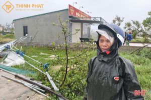 Thiệt hại từ bão số 10: Bài học về cửa kính, lan can và mặt dựng cho ngôi nhà